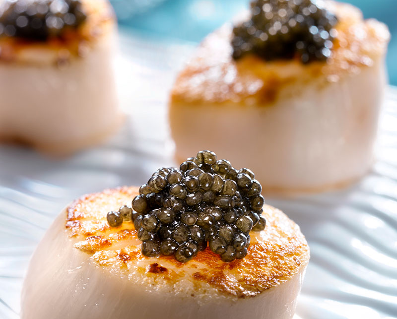 Dégustation caviar perle noire avec un plat
